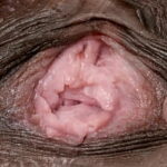 Female textures – Morphing 1 (HD 1080p)(Vagina close up hairy sex pussy)(by rumesco)